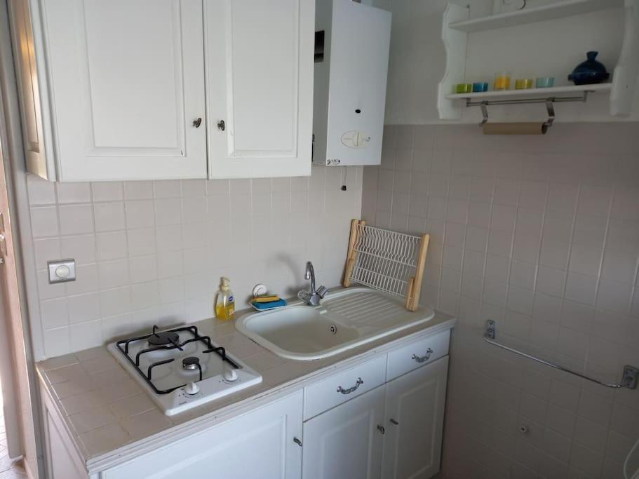 L'Arche De Noe 235, Superbe Vue Mer Agde Eksteriør billede